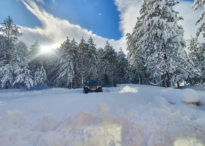 Vikendica Petra Blidinje